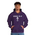Exodus 20:15 Hoodie
