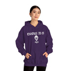Exodus 20:15 Hoodie