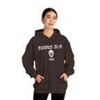 Exodus 20:15 Hoodie