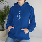 6+4+3=2 Double Play Hoodie