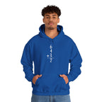 6+4+3=2 Double Play Hoodie