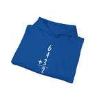 6+4+3=2 Double Play Hoodie