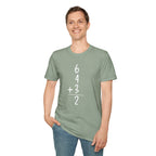 6+4+3=2 Double Play T-Shirt