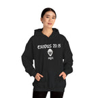 Exodus 20:15 Hoodie