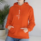 6+4+3=2 Double Play Hoodie