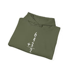 6+4+3=2 Double Play Hoodie