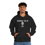 Exodus 20:15 Hoodie