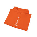 6+4+3=2 Double Play Hoodie
